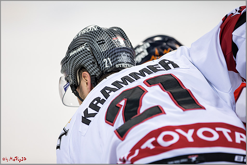 DEL, Koelner Haie - Duesseldorfer EGY, 22.01.2017